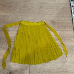 Ann Taylor A-Line Pleated Skirt